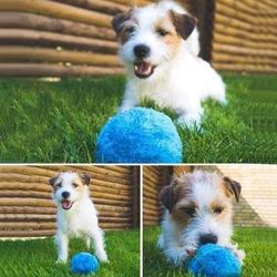 brite pet mop ball