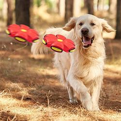 pet toy flying saucer ball