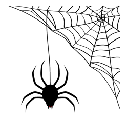 spiderweb png transparent images, vampirina bat png, birthday party printable - digital file