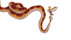 kaa png transparent images, disney villains png, jungle book png - digital file-5