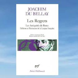 brief summary of book: les regrets. les antiquites de rome by joachim du bellay