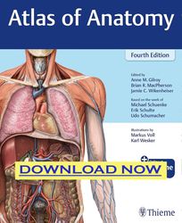 atlas of anatomy 4th ed