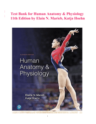 human anatomy & physiology 11th edition by elaine n. marieb and katja hoehn test bank