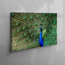 gift for her, wall decoration, personalized gifts, bohemian wall art, peacock canvas decor, feather wall hangings, anima
