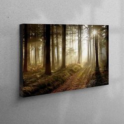 landscape canvas, beauty of nature canvas, sunset canvas art, forest path at sunset 3d canvas, housewarming gift, farmho