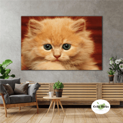 yellow fluffy kitten animal roll up canvas, stretched canvas art, framed wall art painting