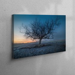 canvas home decor, canvas gift, canvas print, tree, landscape canvas, sunset wall decor, nature landscape canvas, sunset