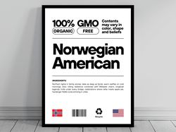 norwegian american unity flag canvas mid century modern american melting pot rustic charming norwegian humor us patrioti