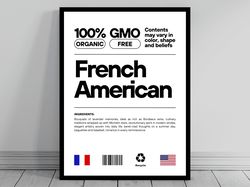 french american unity flag canvas  mid century modern  american melting pot  rustic charming french humor  us patriotic