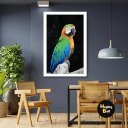 macaw wall art, parrot canvas art, colorful wall decor, tropical bird art, roll up canvas, stretched canvas art, framed