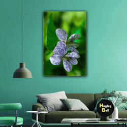 macro shot colorful flower landscape nature roll up canvas, stretched canvas art, framed wall art painting