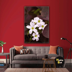 macro shot white flower landscape nature roll up canvas, stretched canvas art, framed wall art painting