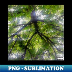 sun trees photo - retro png sublimation digital download