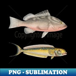 fishes pair - fish graphic