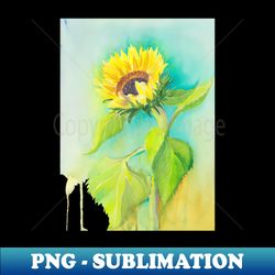 loose watercolour sunflower - png sublimation digital download - revolutionize your designs