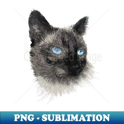 siamese cat - unique sublimation png download - perfect for sublimation art