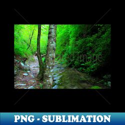 view from sarnano on the road to cascata del pellegrino with trunks waters pebbles greenery - professional sublimation digital download - bold & eye-catching