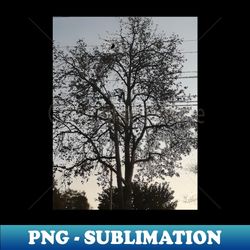 dark night photography my - premium png sublimation file