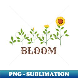 bloom - sunflowers