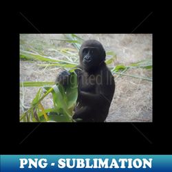 baby gorilla illustration - unique sublimation png download