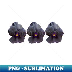 three black viola flowers floral photo - stylish sublimation digital download