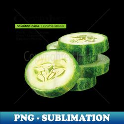 cucumber funny graphic vegetable food - professional sublimation digital download