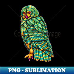 the owl totem - instant sublimation digital download