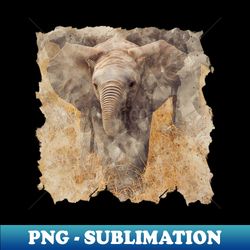 baby elephant - retro png sublimation digital download