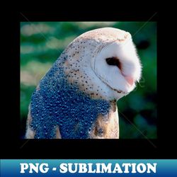 colorful wild owl bird - premium png sublimation file