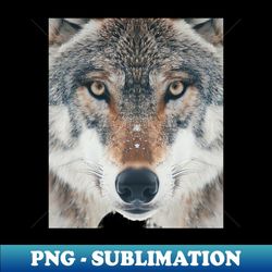 wolf alpha allegiance 1 - creative sublimation png download
