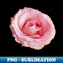 pink rose floral photo cutout - instant sublimation digital download