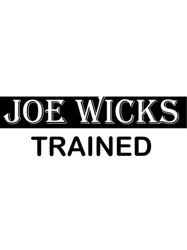 joe wicks298