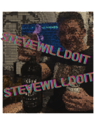 stevewilldoit