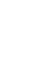 st louis american city - usa cities