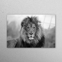 glass wall art, mural art, glass printing, lion photo print, lion wall art, wildlife glass wall art, loft wall decoratio