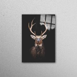 glass wall art, tempered glass, wall decor, deer photography, deer glass, farmhouse glass wall, animal photo wall decor,