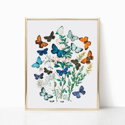 butterfly wall art illustration boho butterflies farmhouse room decor canvas botanical nature print canvas frame modern