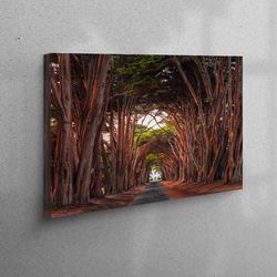 california cypress tree tunnel canvas, cypress tree tunnel canvas, tree path canvas art, gift for the home, framed canva