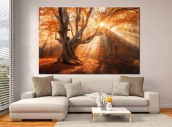 autumn forest wall art canvas sun in tree art prints large canvas art sunshine tree art autumn landscape wall art living