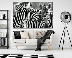 zebra wall art black and white zebra art print wildlife large canvas art safari animals photo print living room wall art