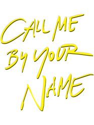 call me by your name logo