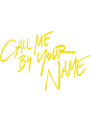 call me by your name logo