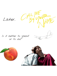 call me by your name sticker set sticker