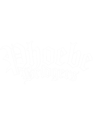 phoebe bridgerstshirt (6)