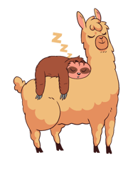 baby sloth sleeping on mama llama