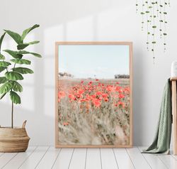 field of red poppies wildflowers photography boho meadow nature farmhouse country room decor canvas print poster framed