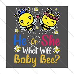 he or she what will baby bee svg, trending svg, baby bee svg, bee svg, svg file