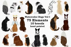 watercolor dog clipart png, dog breeds, watercolor clipart