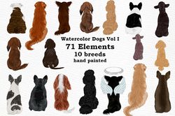 dogs clipart graphic png, dog breeds, watercolor dog, dog illustration