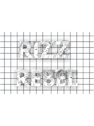 rizz rebel gallery